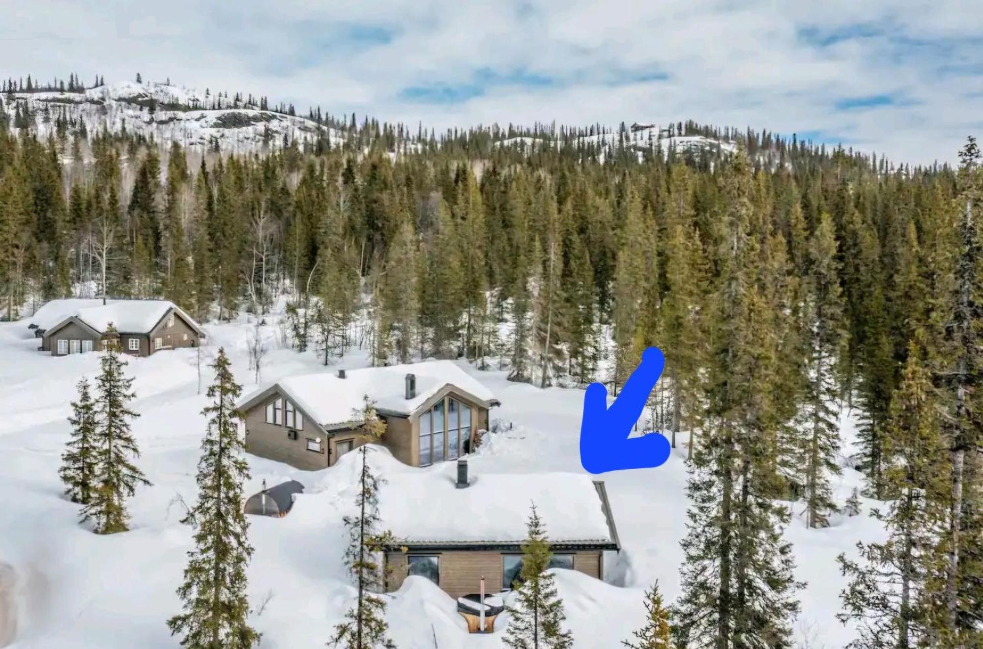 Cozy Mountain Cottage With Beautiful Views & Sauna Beitostolen エクステリア 写真