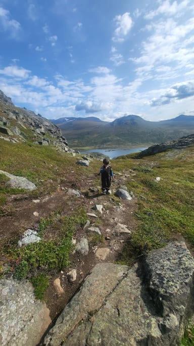 Cozy Mountain Cottage With Beautiful Views & Sauna Beitostolen エクステリア 写真
