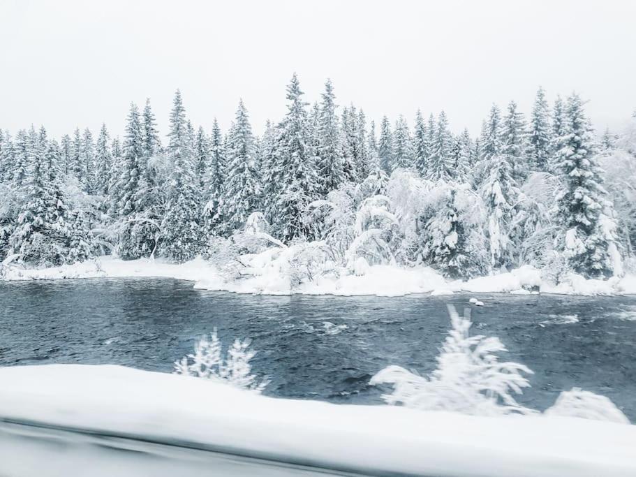 Cozy Mountain Cottage With Beautiful Views & Sauna Beitostolen エクステリア 写真