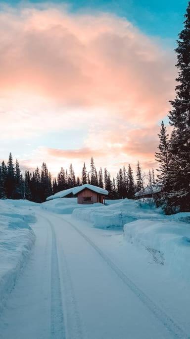 Cozy Mountain Cottage With Beautiful Views & Sauna Beitostolen エクステリア 写真