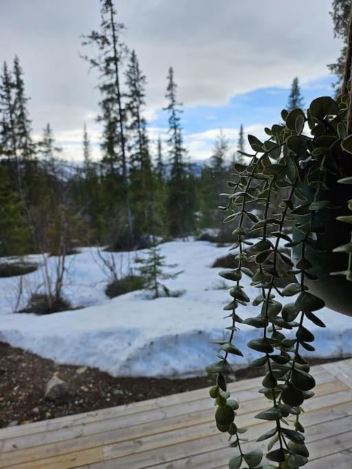 Cozy Mountain Cottage With Beautiful Views & Sauna Beitostolen エクステリア 写真
