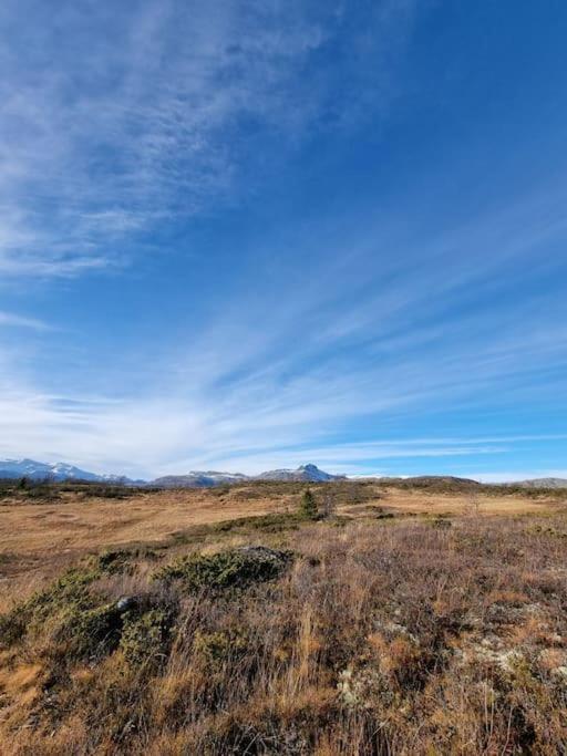 Cozy Mountain Cottage With Beautiful Views & Sauna Beitostolen エクステリア 写真